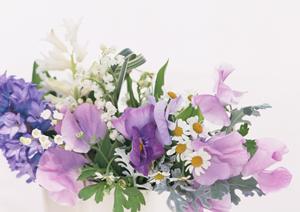 神戸の快適なリフォームとショールーム体験を提供するタカラスタンダード神戸HDCショールームのご案内