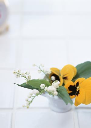 北海道札幌エリアにあるタカラスタンダードのショールーム完全ガイド